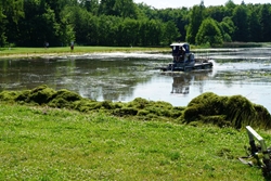 Bild des Monats - Juni 2023