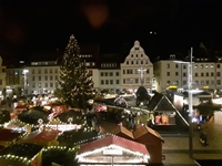 Bild des Monats - Dezember 2023